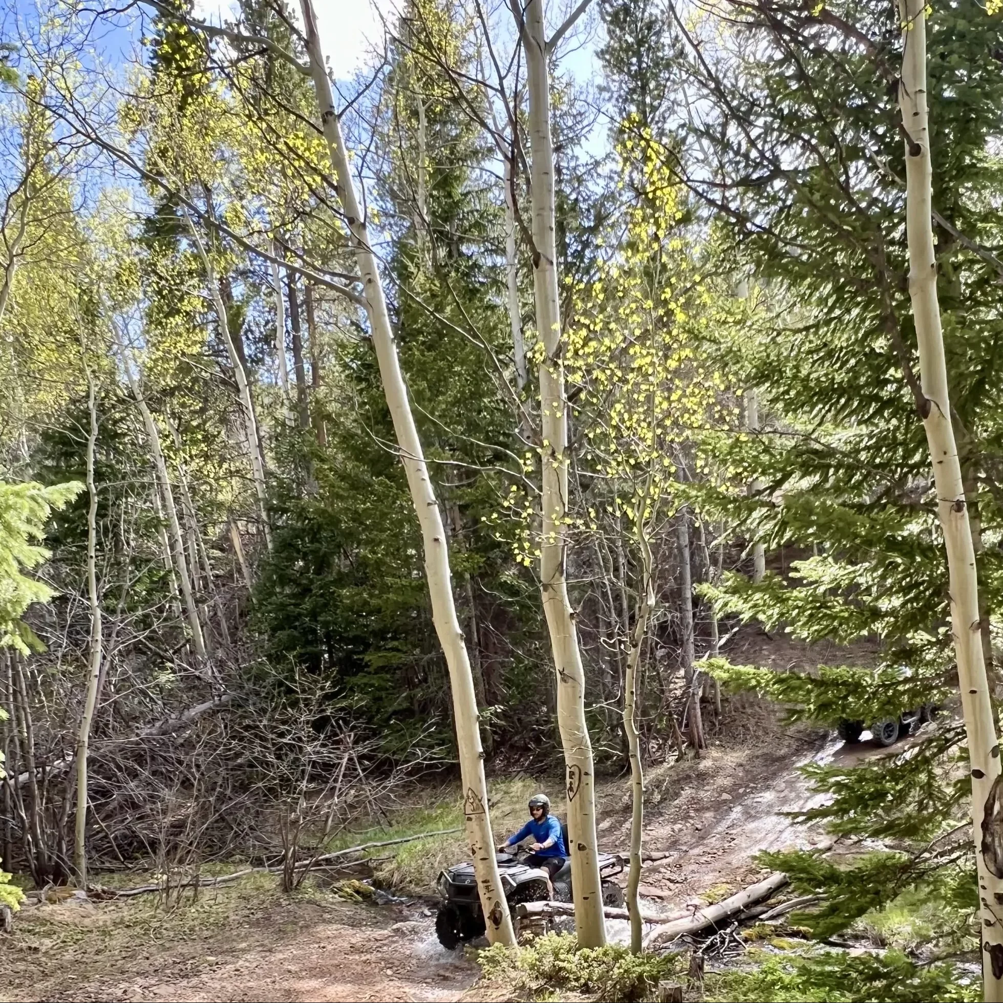 atv tours colorado