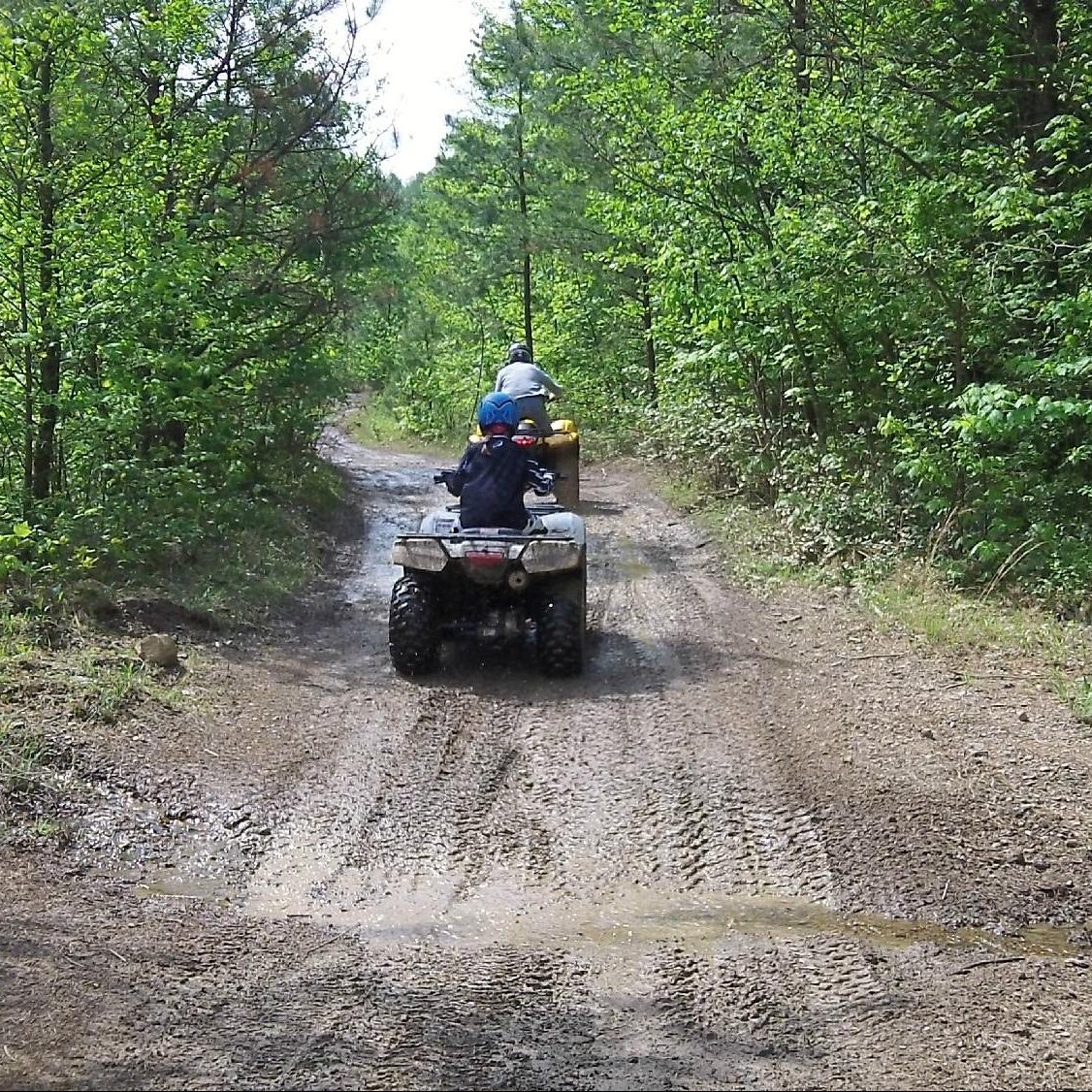 hatfield and mccoy atv trails