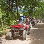 the swamp park- zip line and atv center