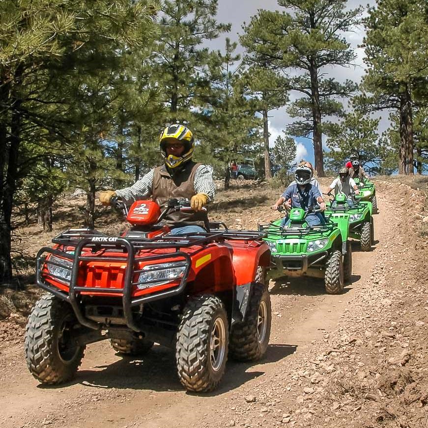 the swamp park- zip line and atv center